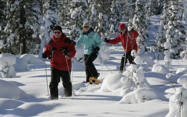 Karemajat Cottage Resort Ylitornio/Övertorneå Eksteriør bilde
